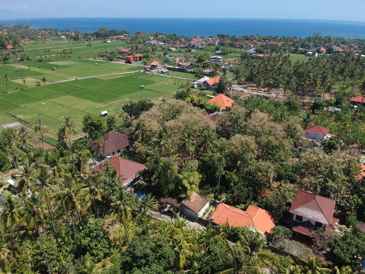Villa Kelapa Lovina Dış mekan fotoğraf
